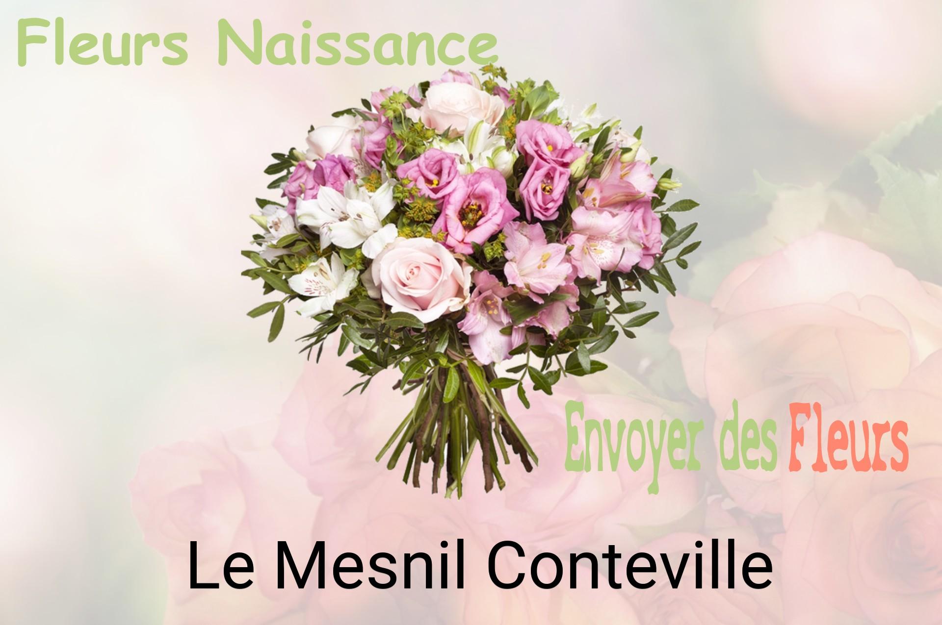 Bouquet de fleurs de naissance livré à Le Mesnil-Conteville
